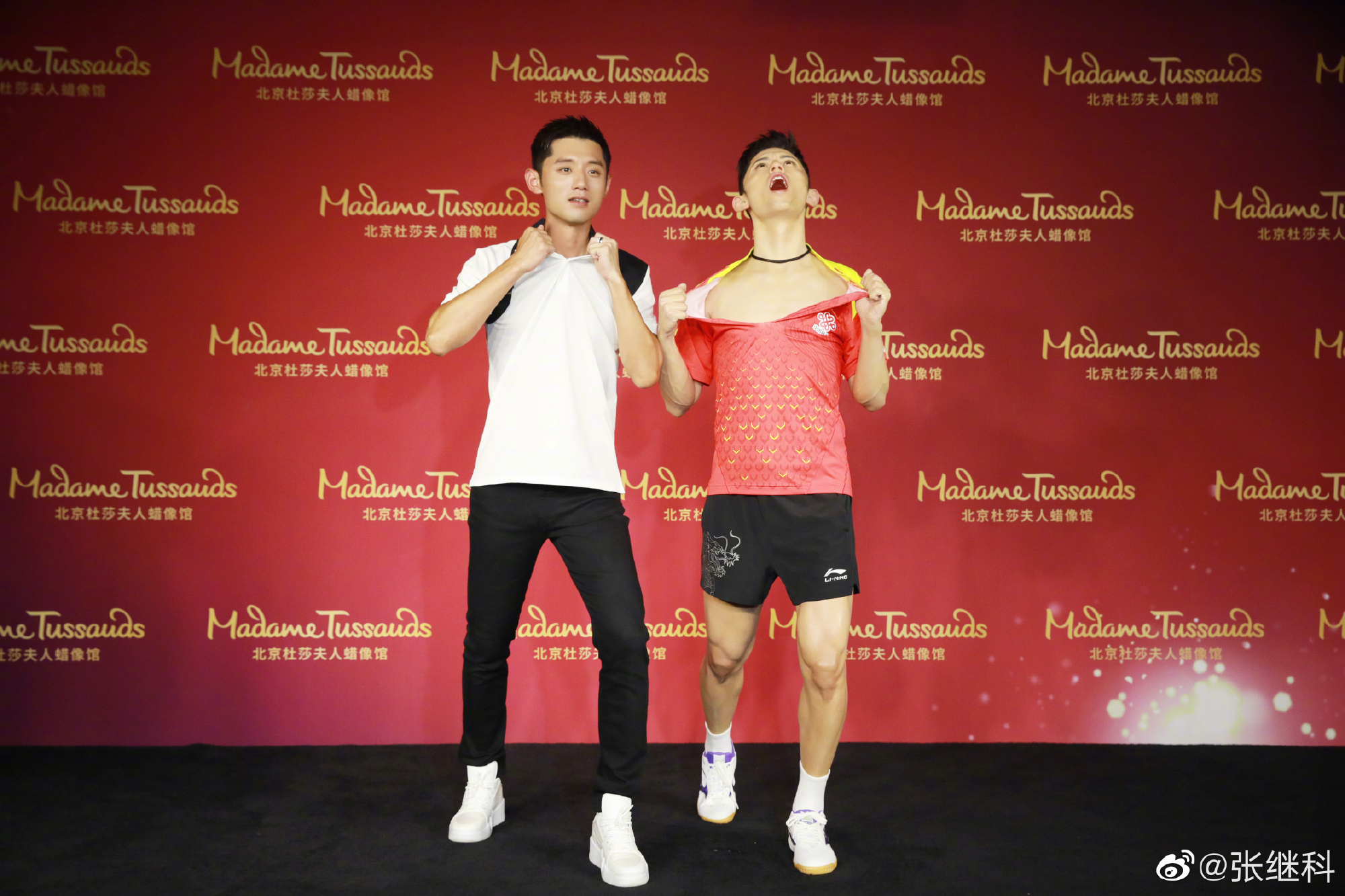 张继科乒乓球2019,为乒乓而生