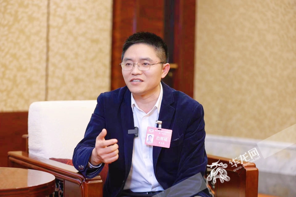 评论代表建议更好助力新重庆建设,重庆两会发展规划