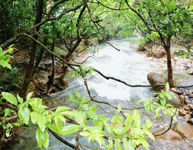 广东肇庆七星岩景区一日游,肇庆紫云谷一日游