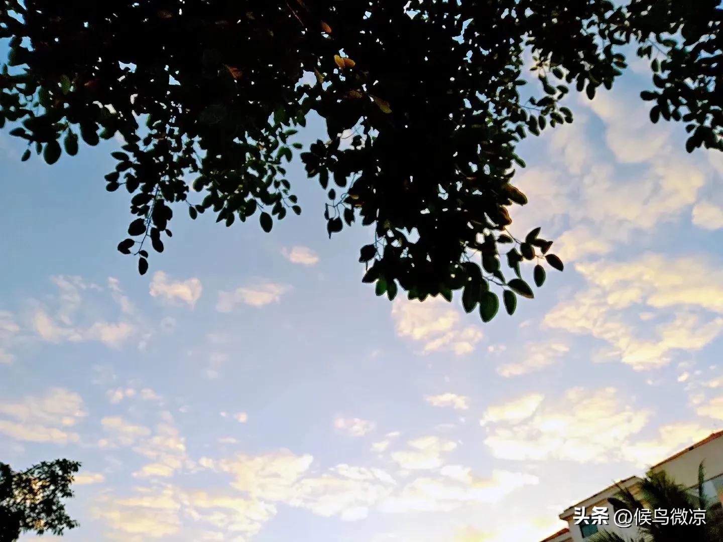 旅居海南记事：网购快递