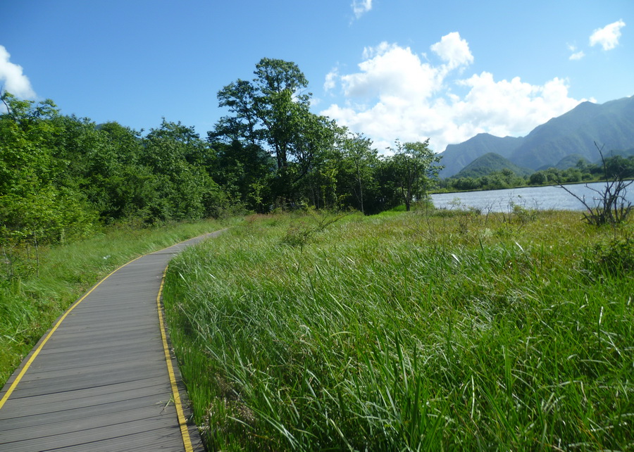 带你欣赏大九湖的美景,大九湖之旅