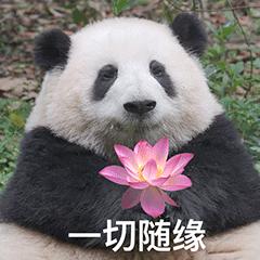 你们遇到过哪些离谱的事,低概率事件集中发生