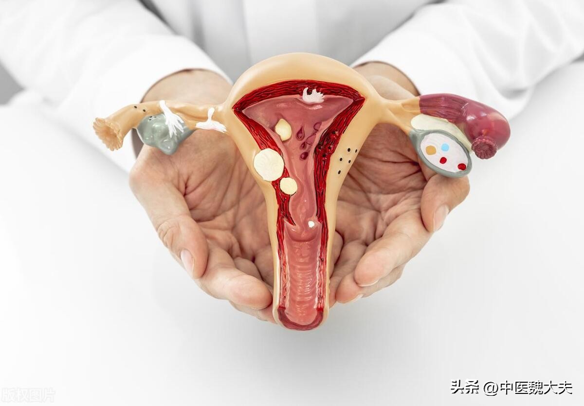 揭秘7条人性的真相,揭秘男女间的7大性误区