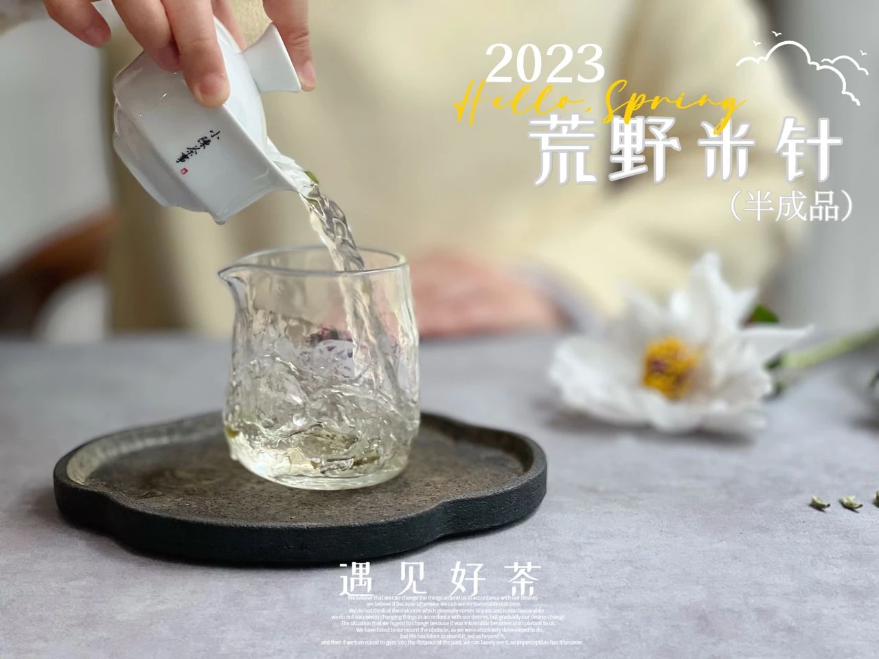 选购白毫银针只需看这5点,好的白毫银针质量鉴别