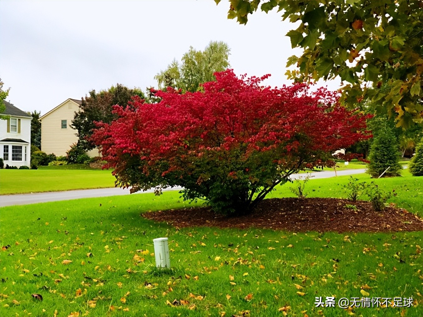 美国纽约东部游介绍,美国东部旅游感受