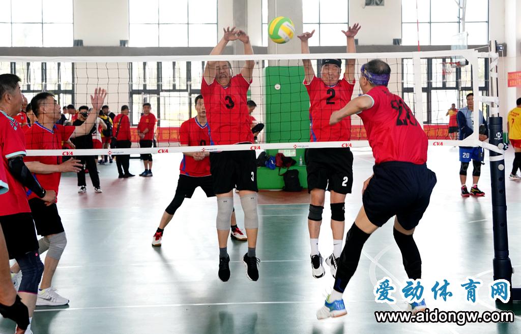 2024海南气排球邀请赛,2020我爱海南气排球旅行邀请赛