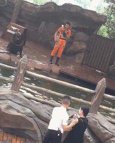 叫个女代驾花了1800是什么梗,找个代驾花了1800