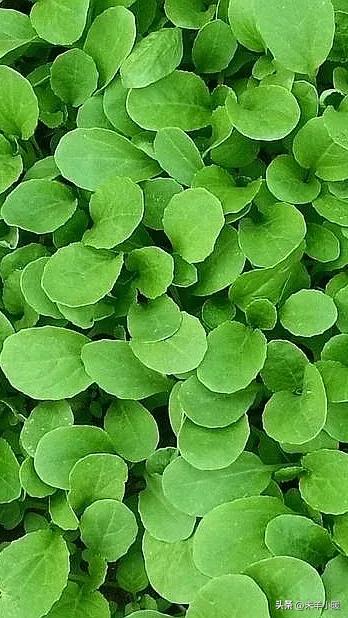 最美的手机壁纸大全,养眼养心的壁纸