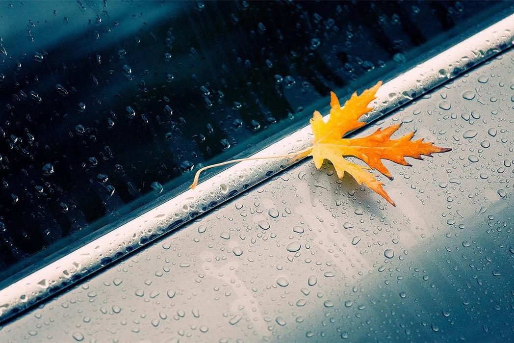 一个人不爱说话也不爱与人沟通,一个人不爱说话的原因