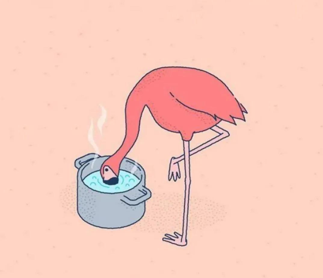 动物冷知识熊猫动画,动物冷知识黑暗