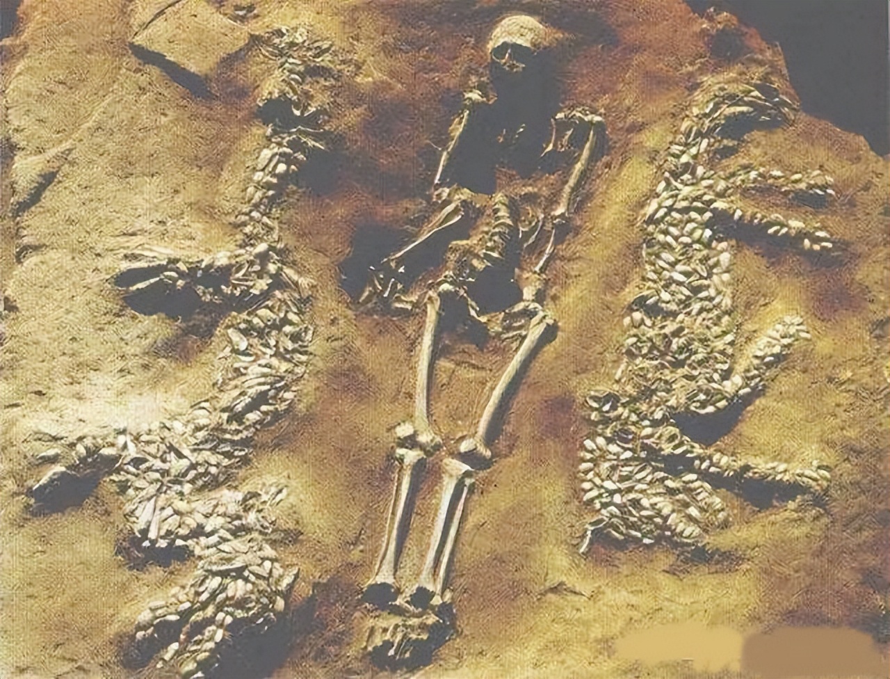 乌克兰，我们7000年的老姑婆，您还好吗