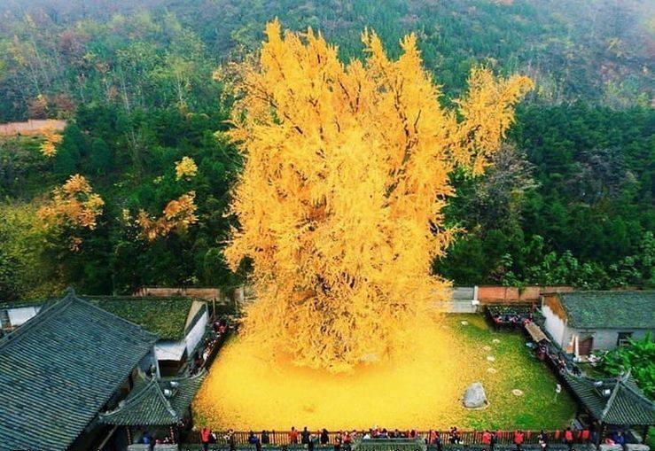 克林顿布什奥巴马合影,克林顿希拉里老照片