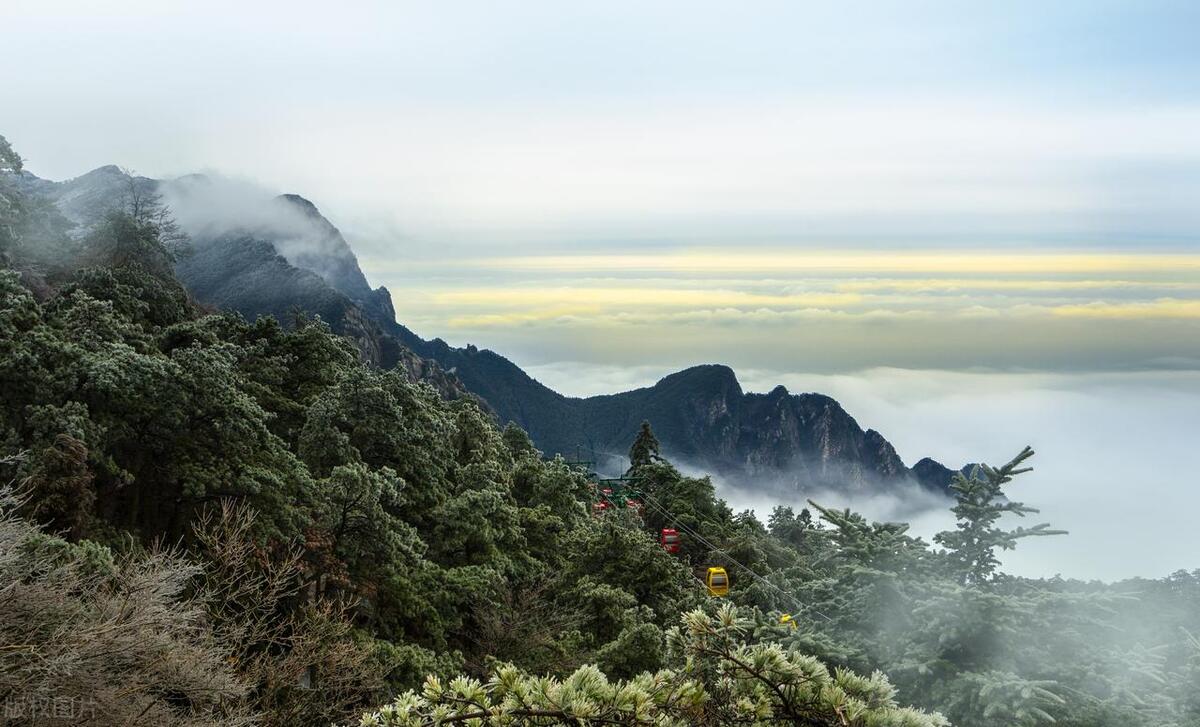 骨盆与大转子的关系,骨盆和大转子