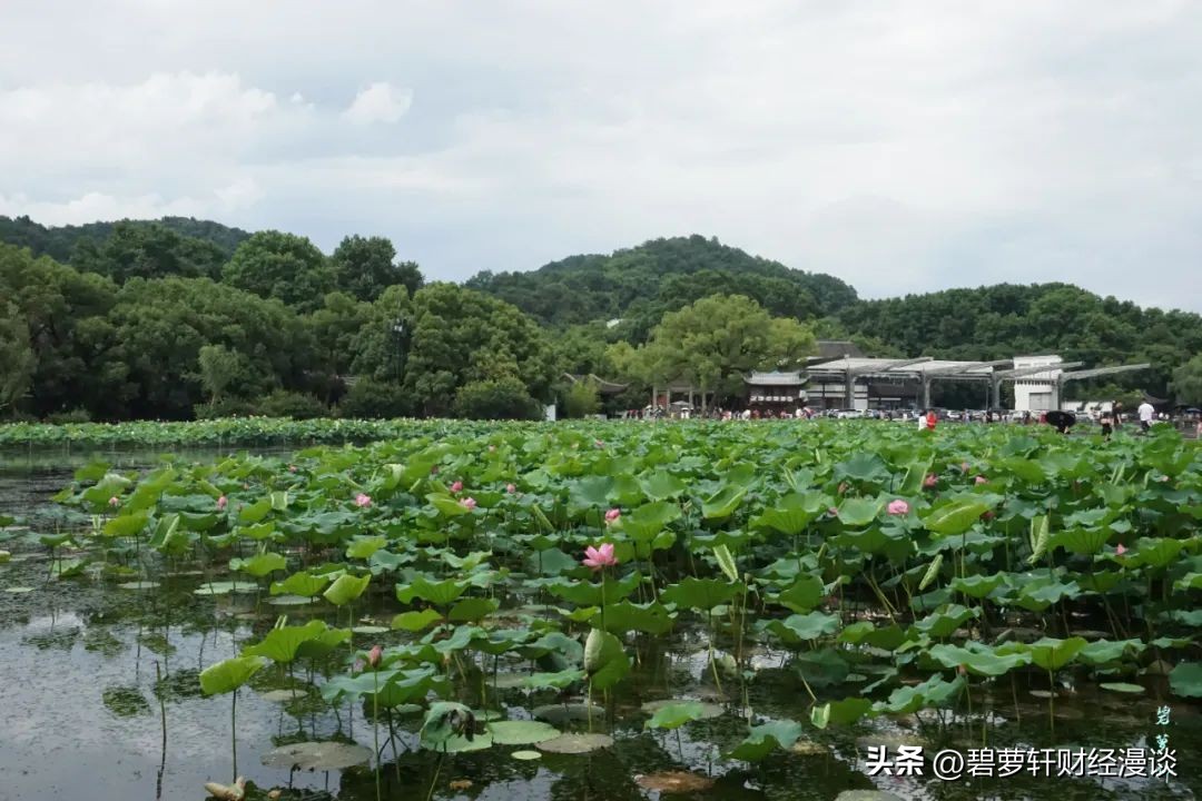 长沙第一波赏荷地图,杭州夏日赏荷地图