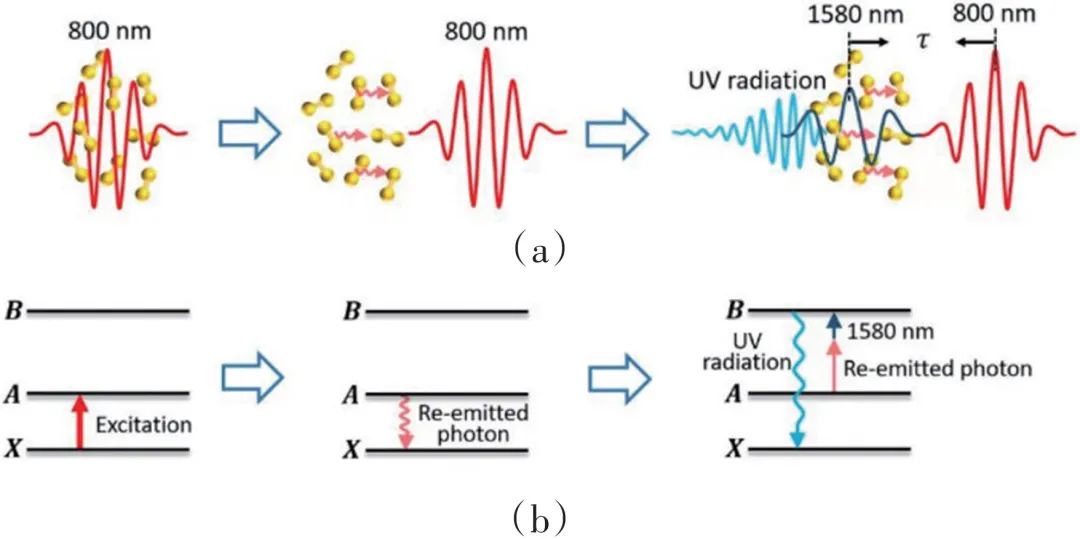 量子光学、太赫兹......2021年光学热点回眸（下）|回眸