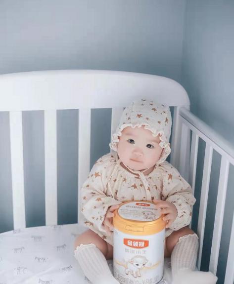 羊奶粉哪个品牌更容易消化吸收,羊奶粉哪些牌子好宝宝容易吸收