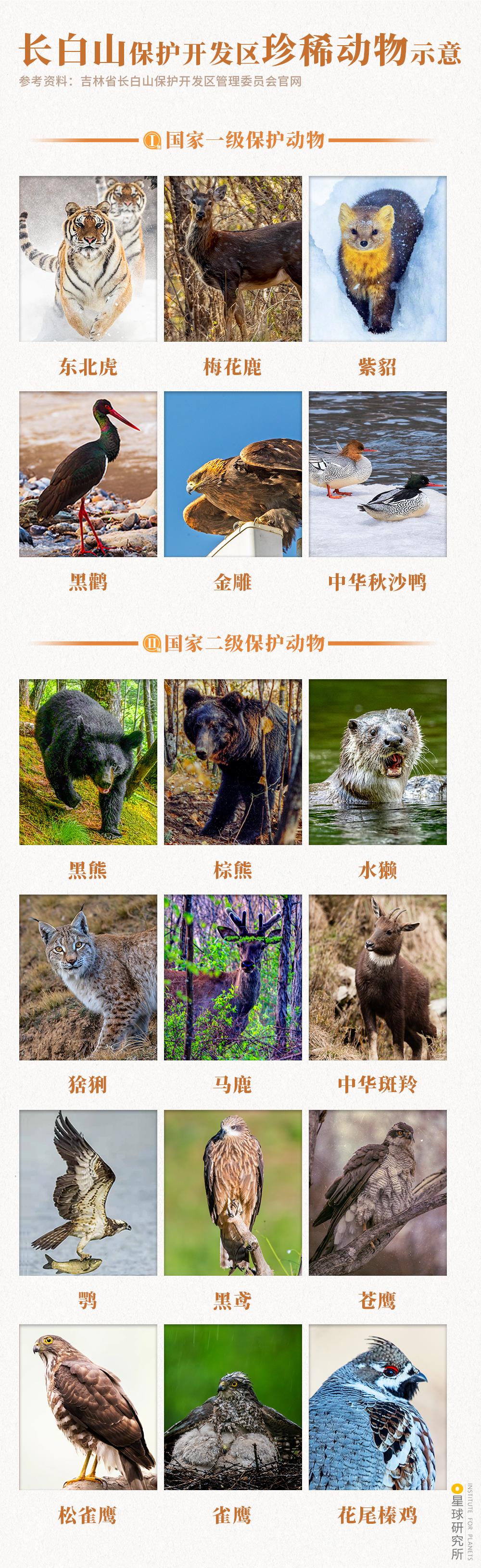 圣山龙脉,龙脉圣地黄帝陵