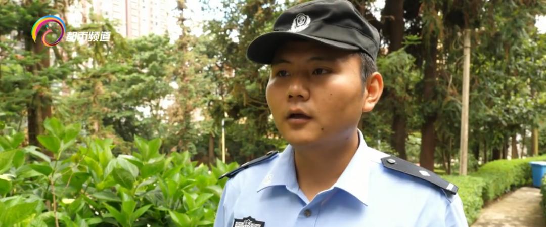 玩印泥、翻文件、爬书柜!“猴哥”大闹办公室,落网了