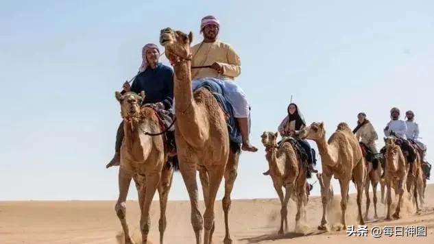 卡塔尔男女比例,卡塔尔男女失调的原因