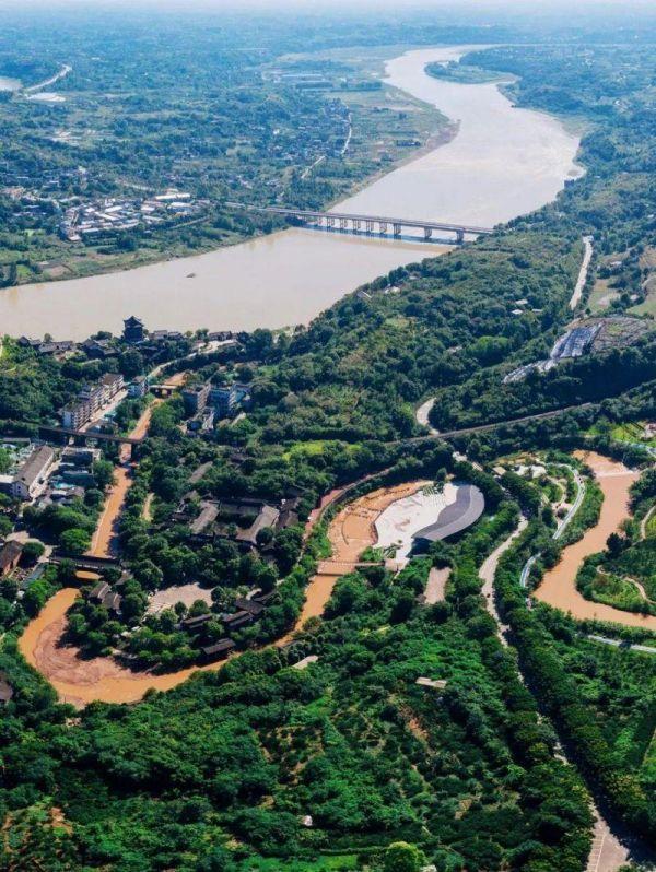 微生物菌群最新研究进展,一号菌群科研新成果