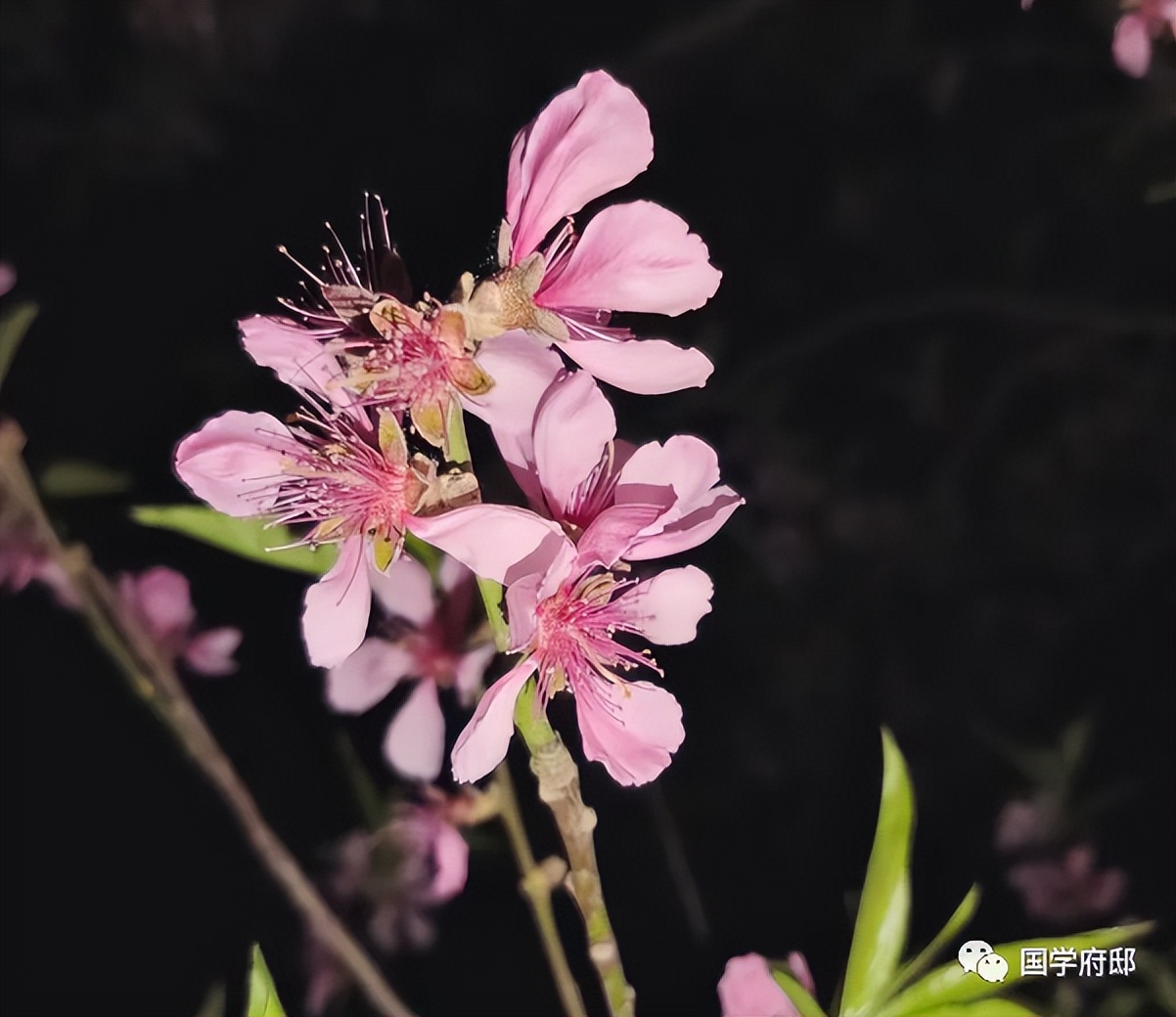 晚春美景的唯美诗句,遇见春天唯美诗词