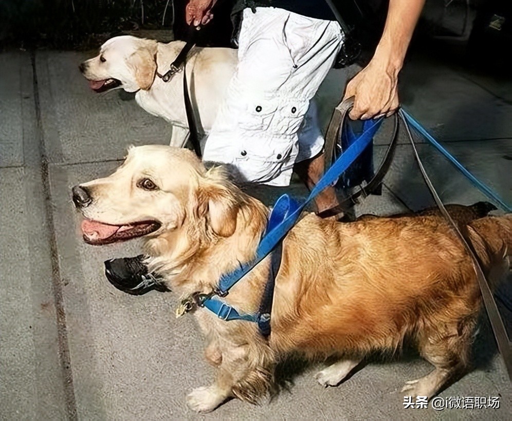 30个让你收入倍增的赚钱方法,6种方法让你收入持续爆发