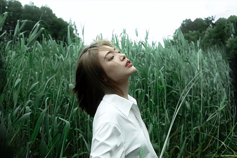 戴萌几几年加入丝芭家族,戴萌直播谈论丝芭