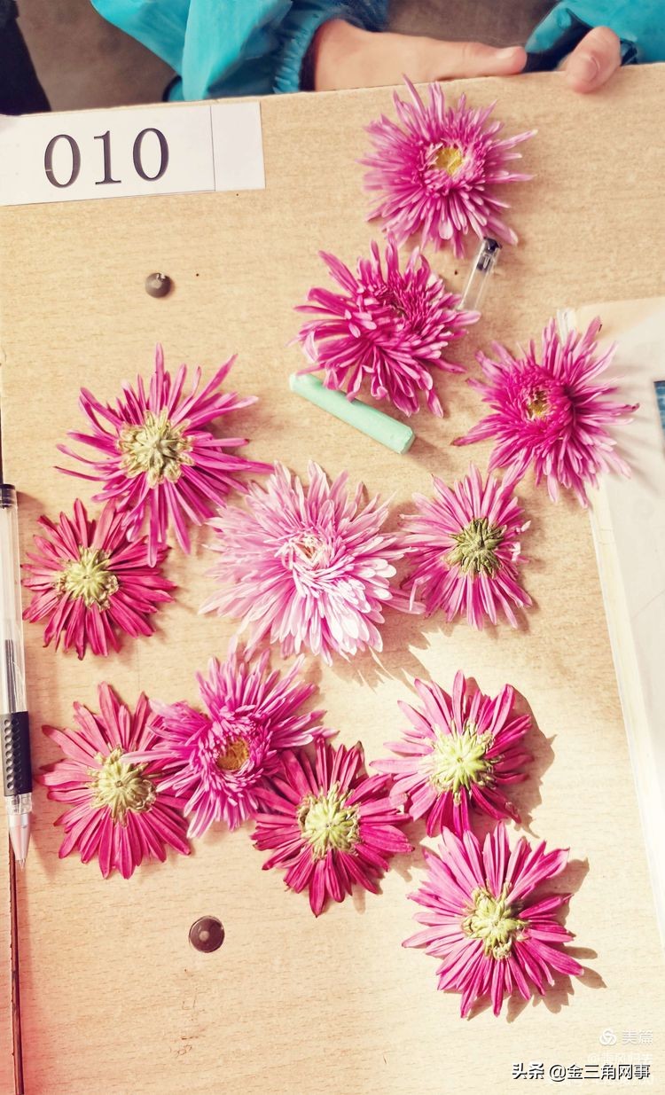 临猗庙上初中推进并践行植物标本课程