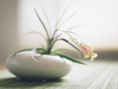 真爱和爱有什么区别,有人问你真爱的定义是什么