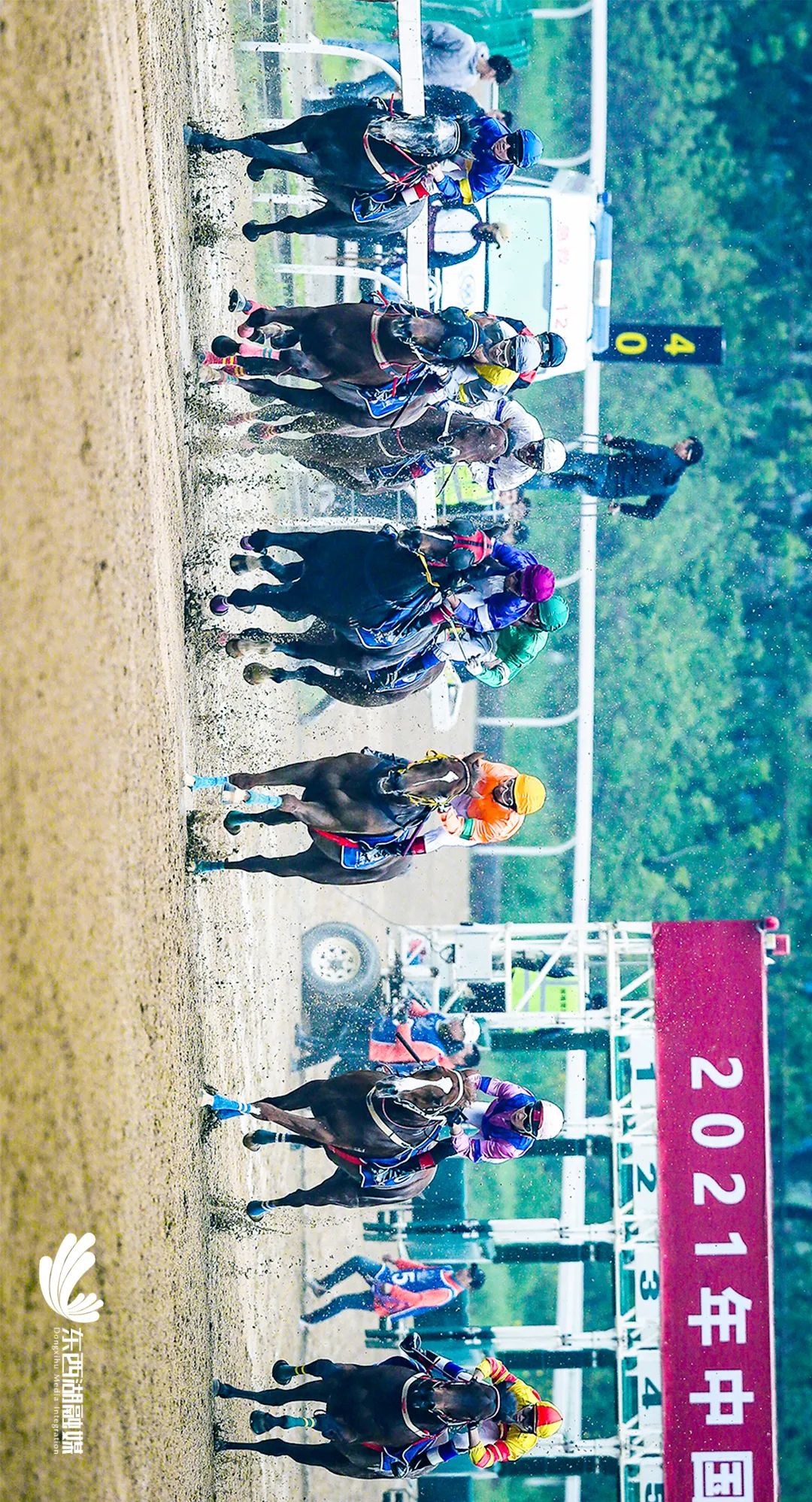 最新东西湖,武汉人眼中的东西湖