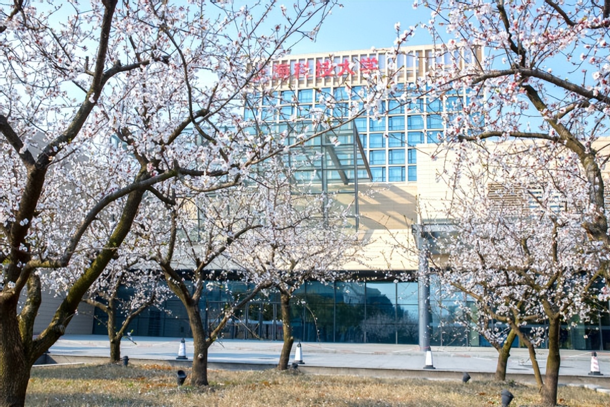 上海科技大学毕业生就业去哪了？本科生79%升学，平均年薪达15万