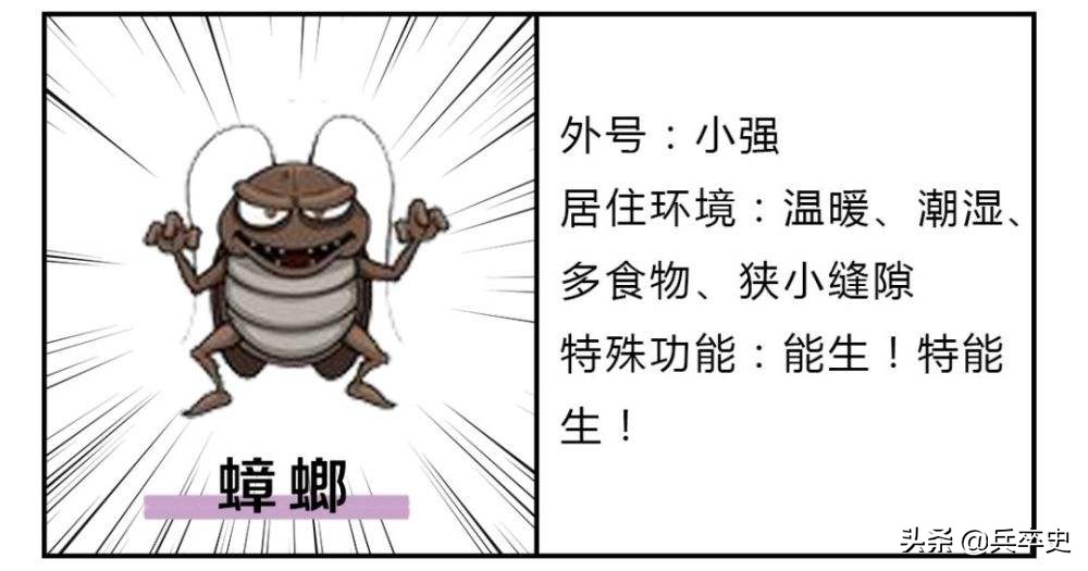 养蟑螂年入百亿,养8亿蟑螂年入百亿