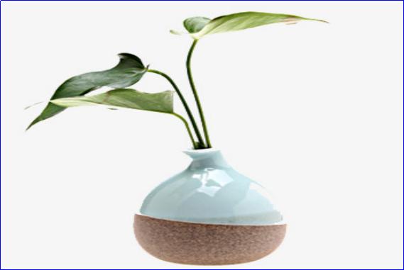 围炉夜话经典语录立身之道,围炉夜话立身之道