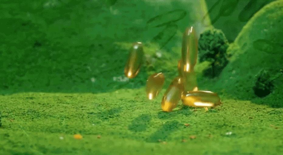 双11性价比最高的65寸电视,双11性价比最高的5g手机