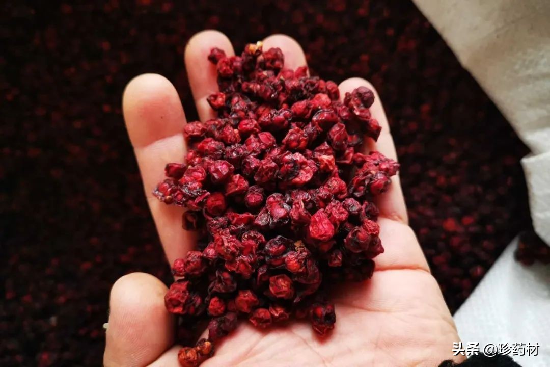 红花、百部、地黄、五味子、龙骨、茵陈、元胡、蒲公英等行情简析