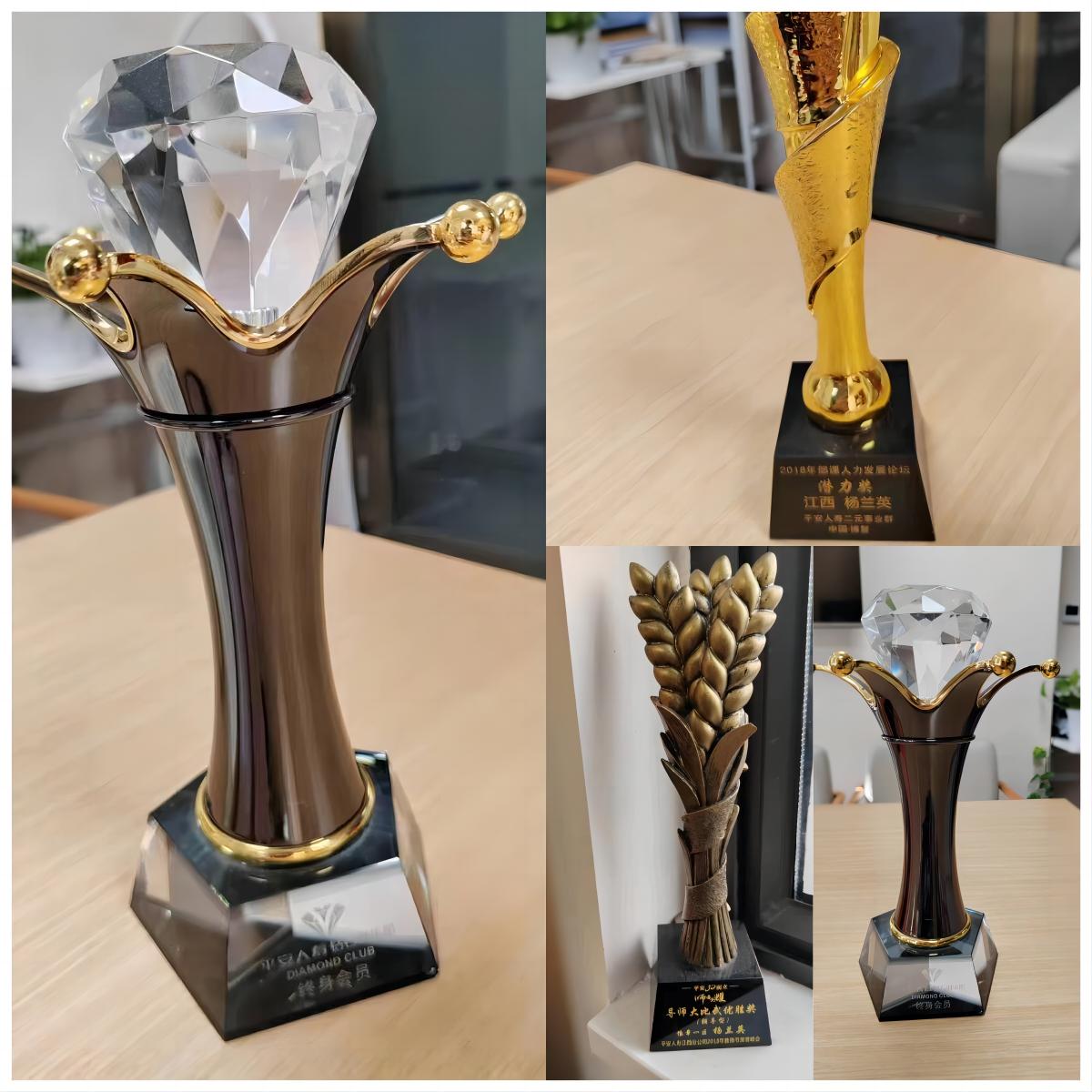 平安人寿保险豫章一支公司杨兰英——定目标，时间会成全一切