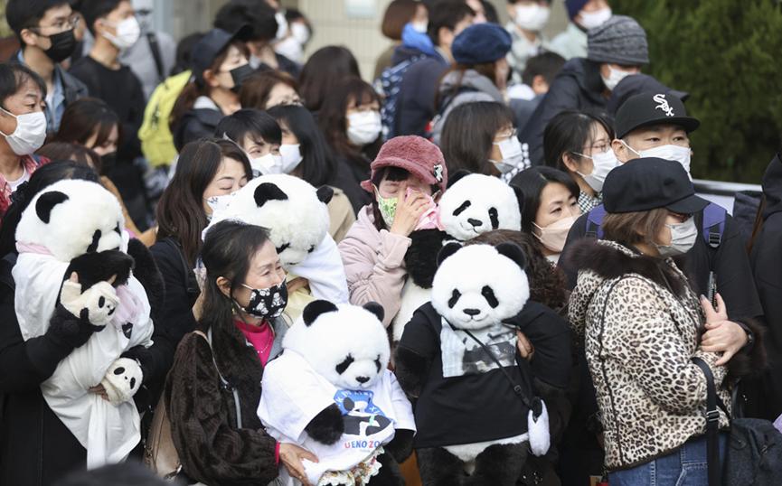 熊猫在各国的待遇相差到底有多大,熊猫在各国待遇