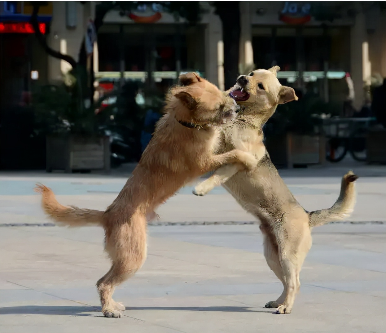 白慧明与于谦相声,白慧明于谦相处视频