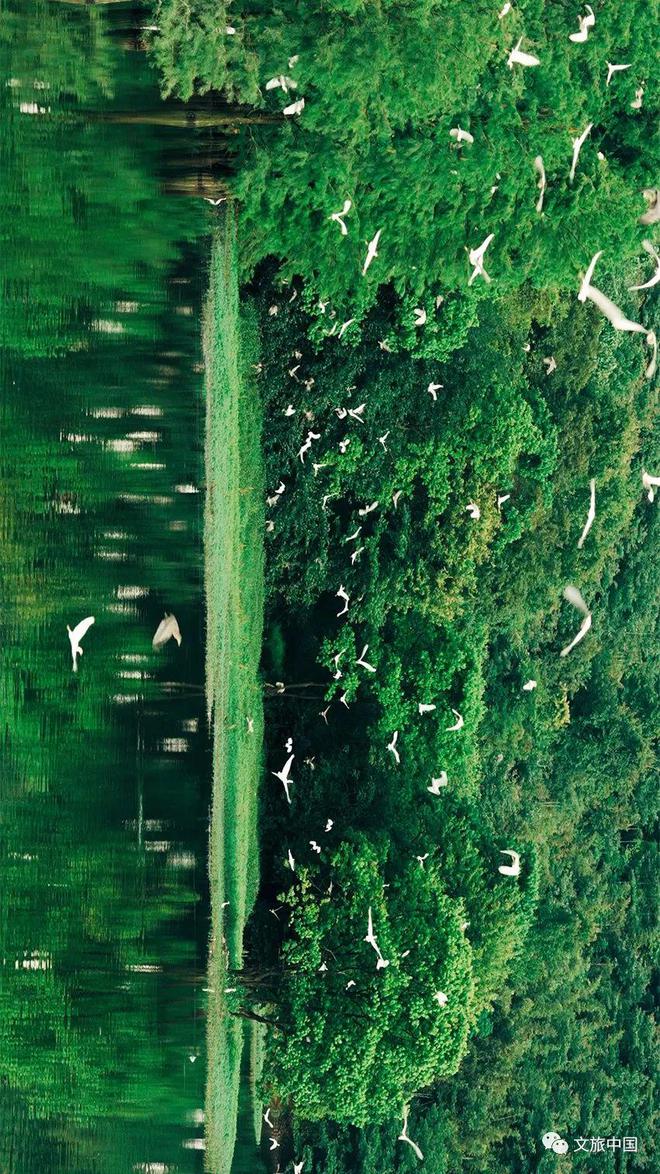 诗景中国|诗和远方在上虞