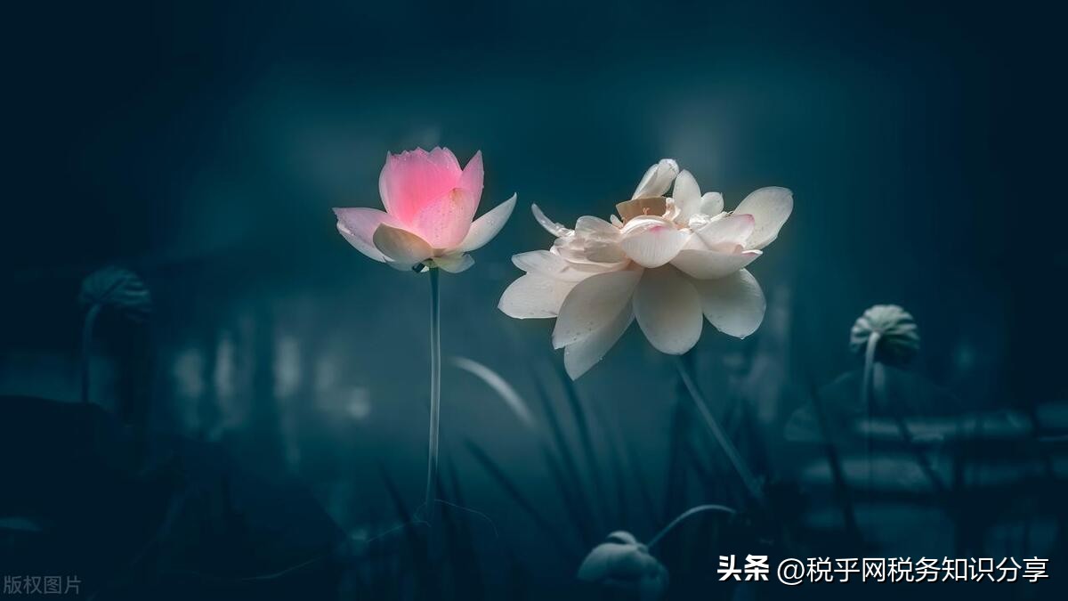 税务局迅速处理拒开发票案,国家税务总局怎么投诉不开发票