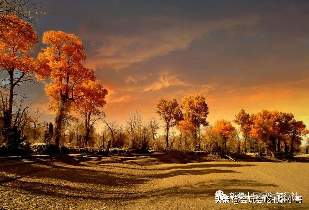 2023国内最适合秋游的地方！退休必看、人少实惠！去了就不想回家