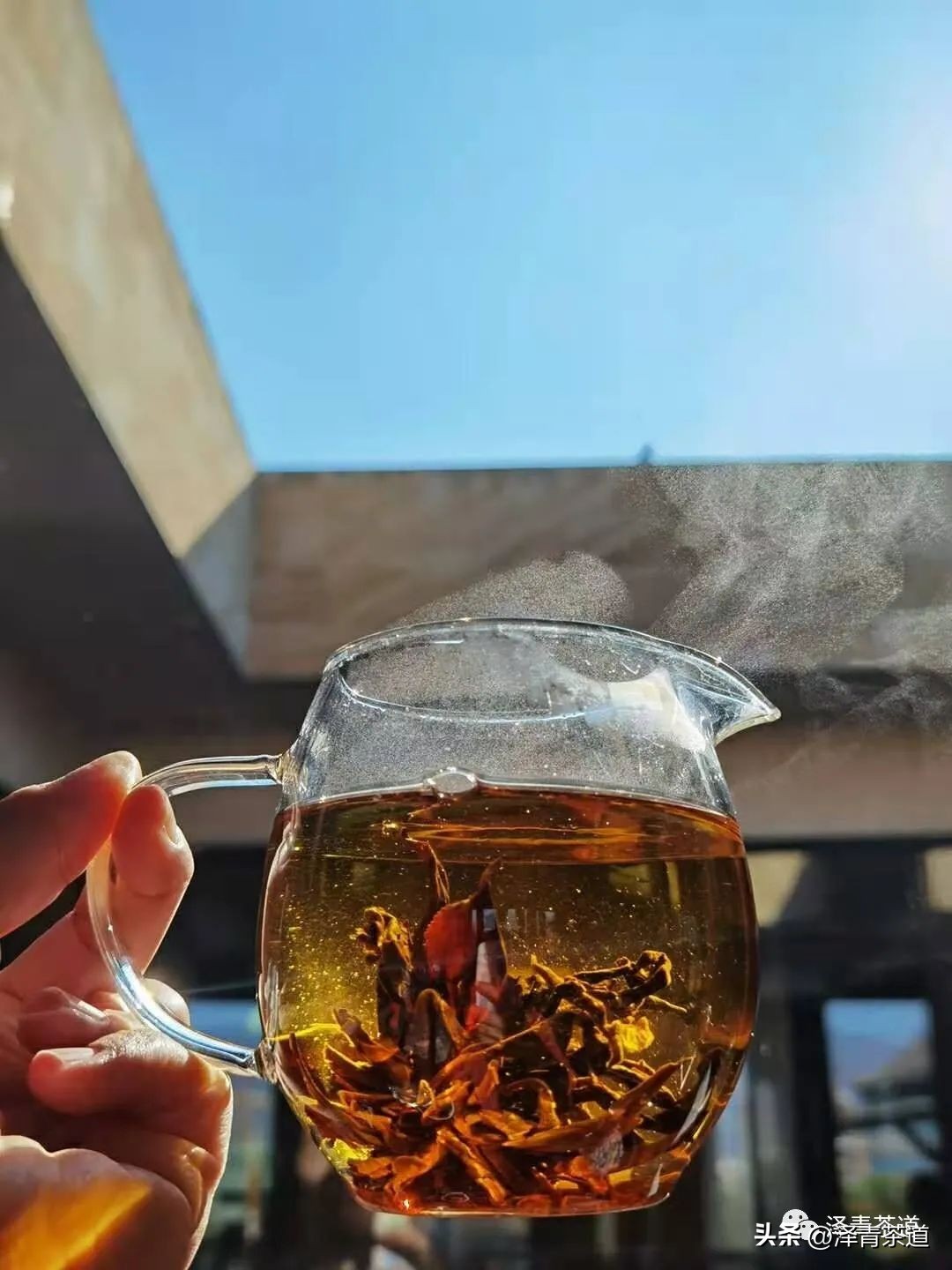 谷雨时节来杯谷雨茶,过了谷雨的茶有什么区别