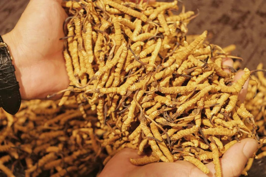 今冬进补来年打虎该怎么补,冬令进补春天打虎但最忌盲目进补