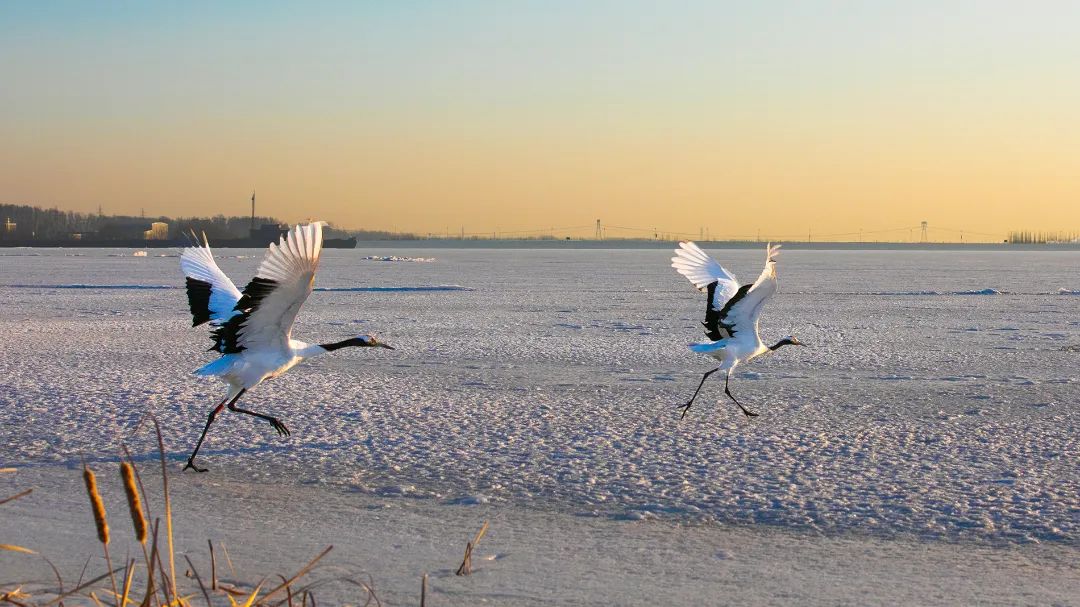 迎接党的20大美术作品,喜迎二十大乡村摄影展