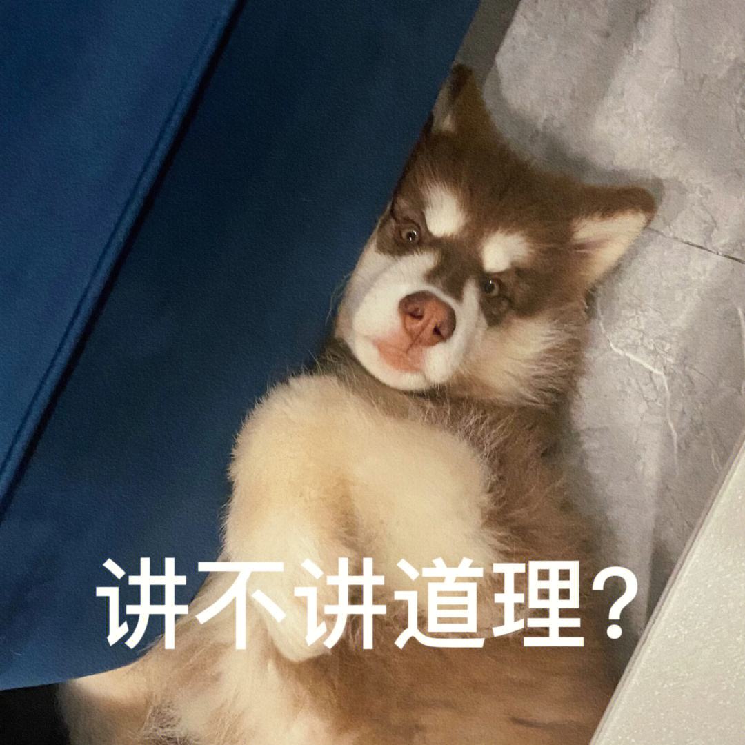 阿拉斯加值得买保险吗,朱顶红阿拉斯加的优缺点