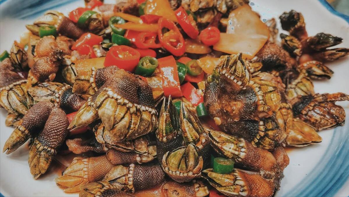 福建霞浦好玩吗,霞浦海滨风景区