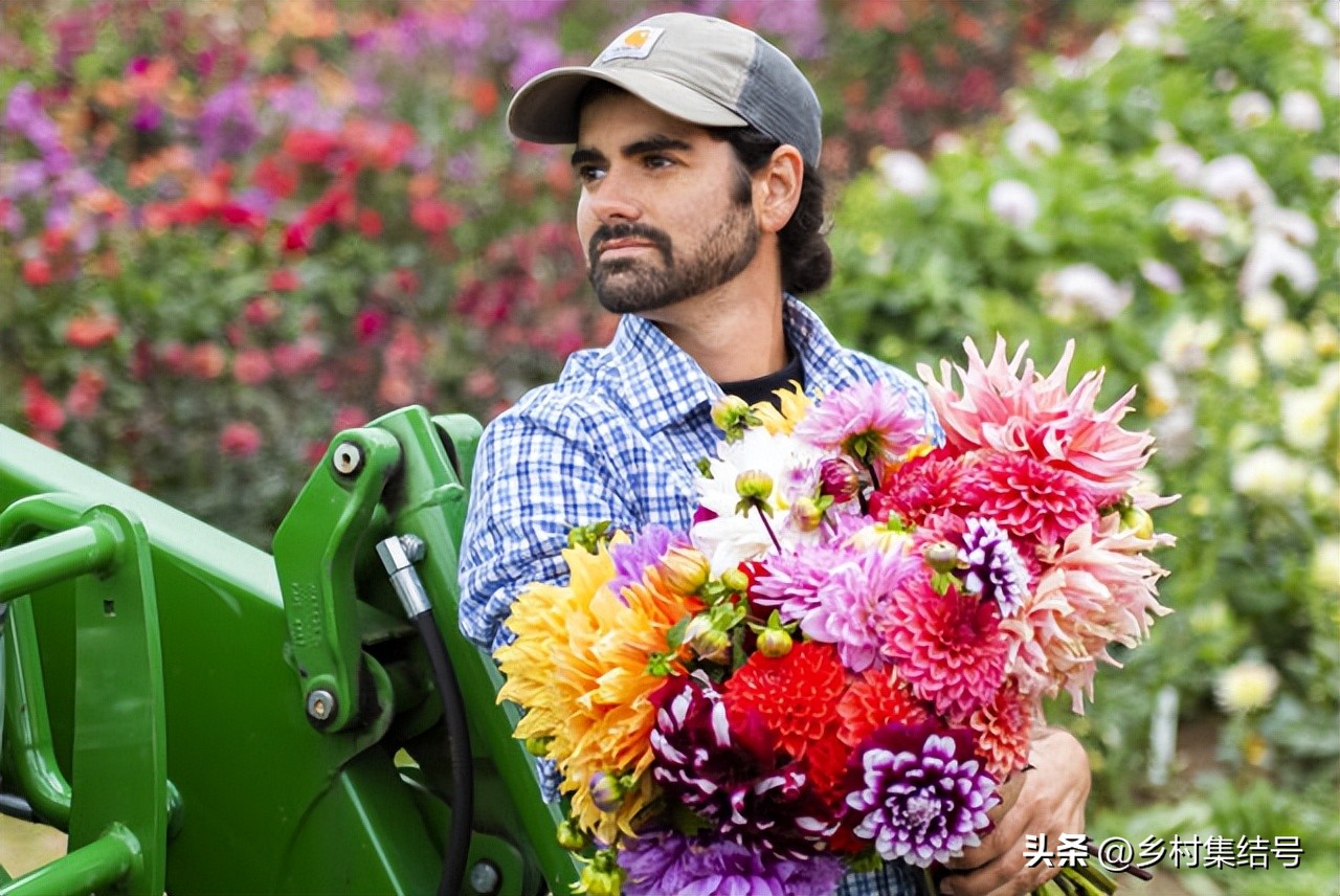 美国夏日梦幻农场：以大丽花为主题的鲜花园艺农场，如梦如画！