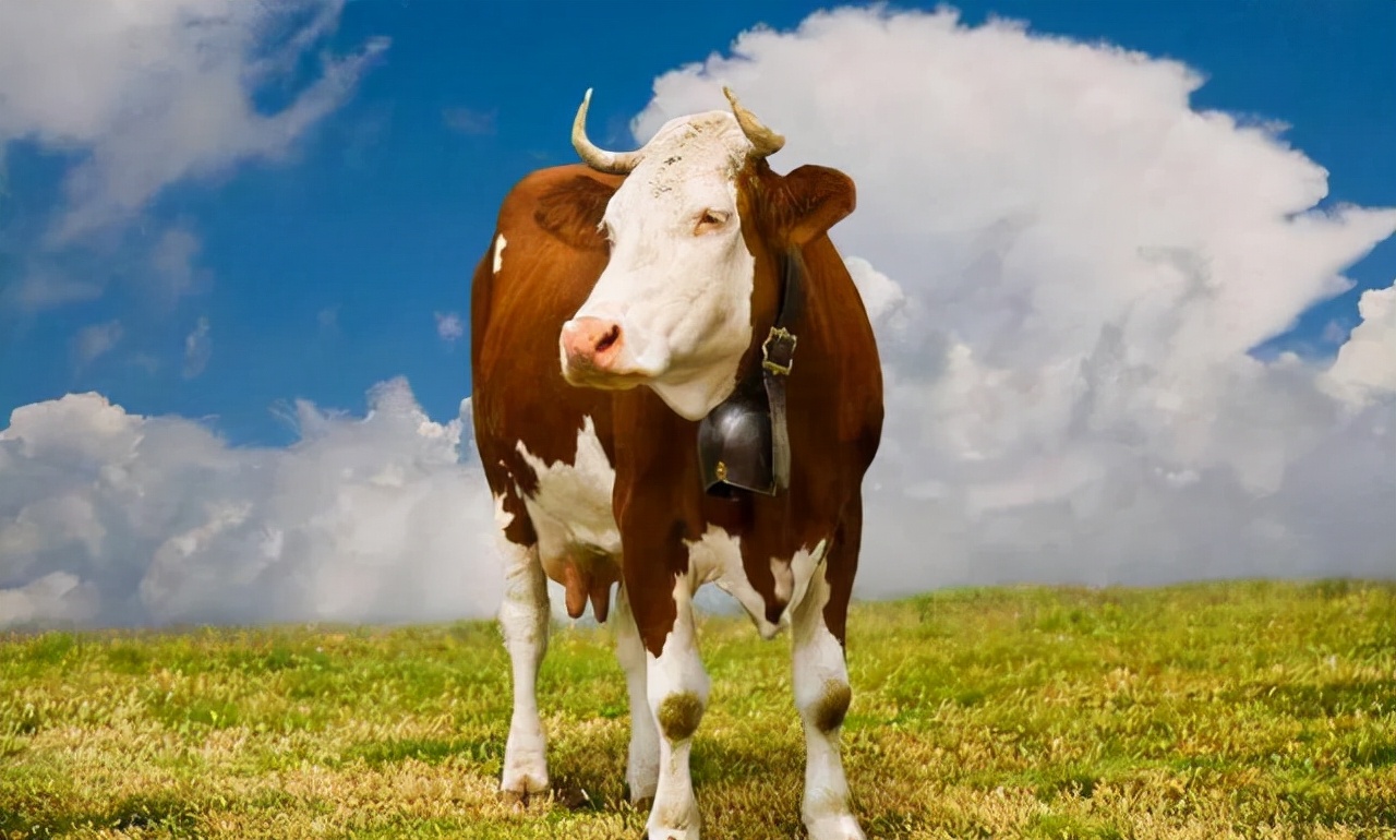 牛拉稀带血最好治疗方法,牛拉稀带粘液血怎么回事