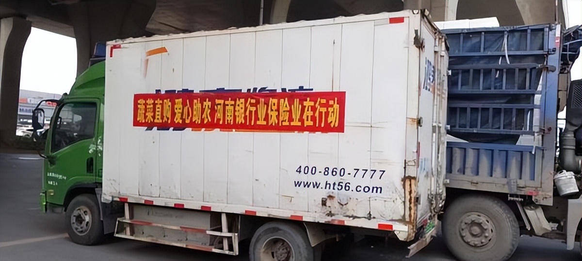 已购蔬菜近40万斤！河南银保监局号召金融机构“以购代扶”助菜农