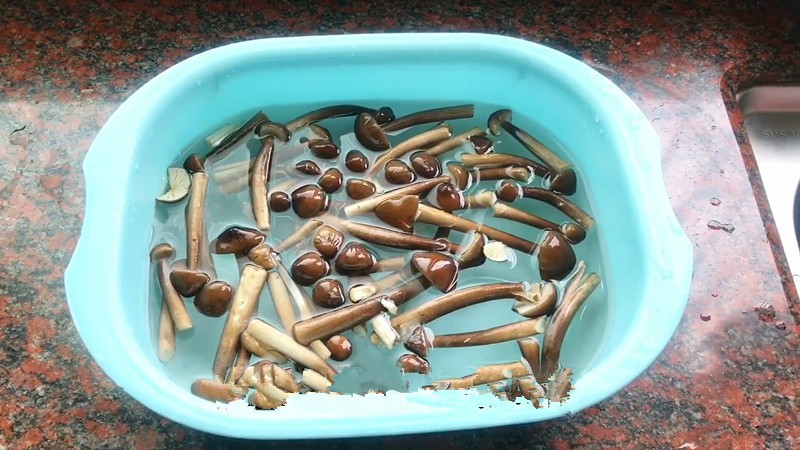 增强抵抗力免疫力吃的氨基酸,吃什么氨基酸能提高免疫力最快